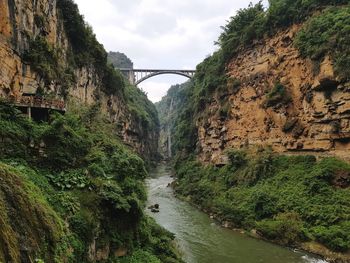 Scenic view of river amidst trees against sky