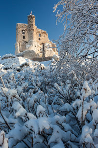 Low angle view of snow covered building