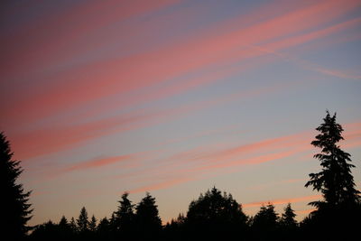 Low angle view of silhouette trees against sky at sunset