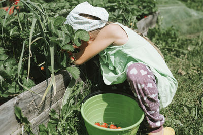 High angle view of woman sitting on field