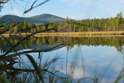 Reflection of trees in lake against sky