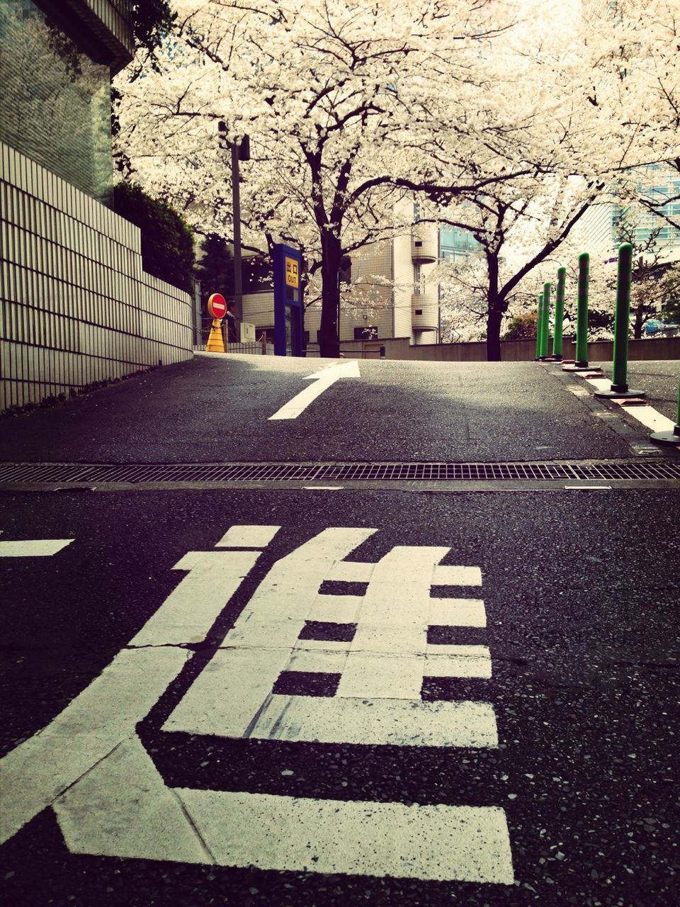 the way forward, street, road marking, road, transportation, building exterior, asphalt, architecture, built structure, city, diminishing perspective, tree, vanishing point, empty, car, street light, day, bare tree, outdoors, empty road