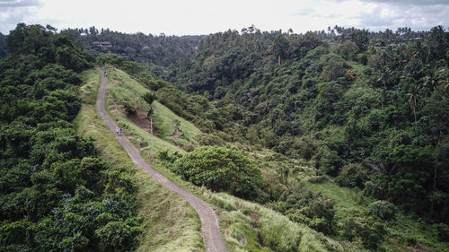 Scenic view of road amidst trees against sky