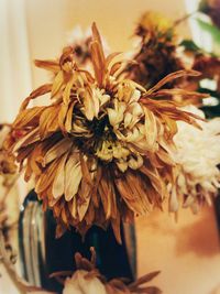 Close-up of flowers