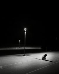 Dog sitting on illuminated street at night