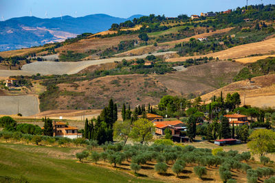 Trees and houses on field by mountain