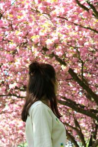 Rear view of woman standing on pink cherry blossom