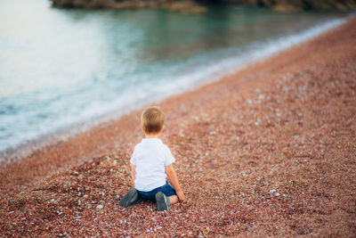 Rear view of boy on beach