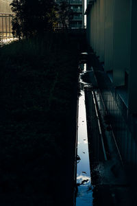 Surface level of narrow road along houses