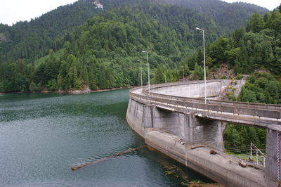 Scenic view of lake in forest