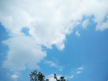 Low angle view of trees against blue sky