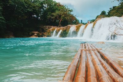 Scenic view of waterfall in forest