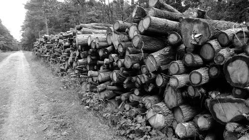 Stack of logs