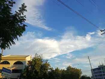 Low angle view of trees against sky