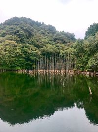 Scenic view of lake against sky