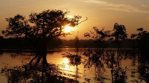 Silhouette trees by lake against sky during sunset