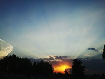 Silhouette trees against sky during sunset