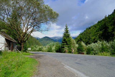 Road amidst trees and plants against sky