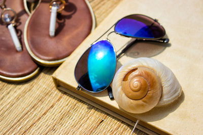 High angle view of shells on table