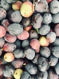 Full frame shot of fruits