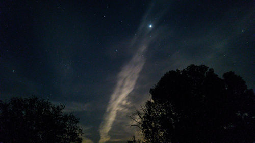 Low angle view of trees at night