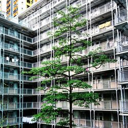 Low angle view of building