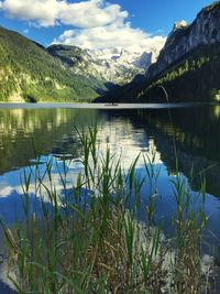 Plants growing by gosausee lake against mountains