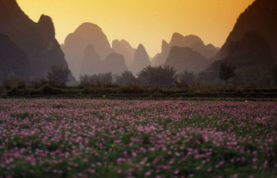 Scenic view of field by mountains during sunset