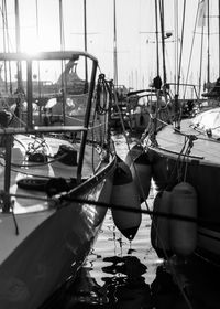 Sailboats moored in sea