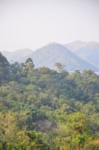 Scenic view of trees and mountains against sky