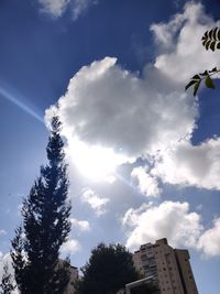 Low angle view of silhouette trees and building against sky