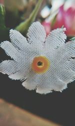 Close-up of flowers against blurred background