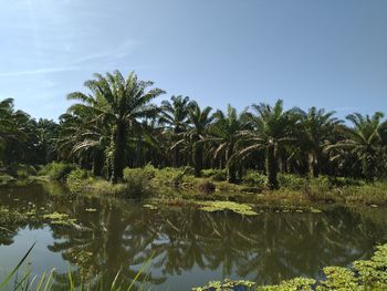 Scenic view of lake against clear sky