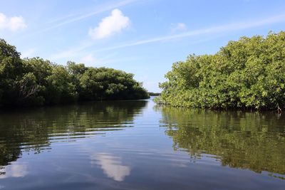 Scenic view of lake by trees against sky