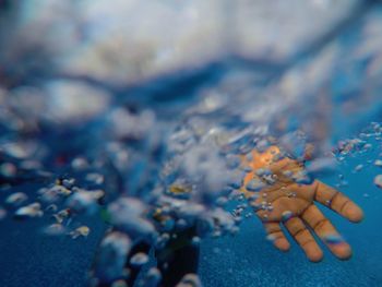 Close-up of hand undersea