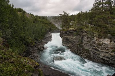 Scenic view of river amidst trees against sky