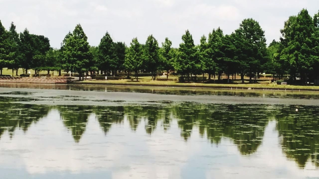 reflection, water, tree, plant, river, nature, sky, pond, wetland, architecture, cloud, travel destinations, environment, no people, travel, beauty in nature, tranquility, outdoors, landscape, tourism, day, built structure, reflecting pool, scenics - nature, reservoir, park, history, building, animal, tranquil scene, green