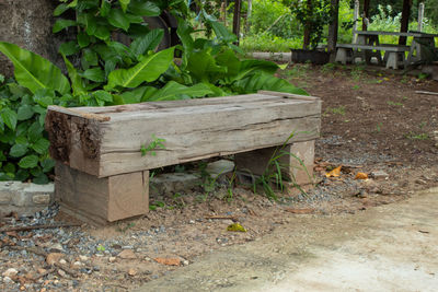 Wooden bench in field