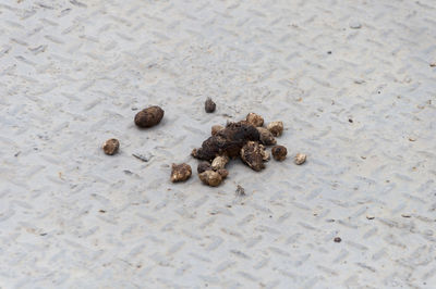 Close-up of pebbles on sand