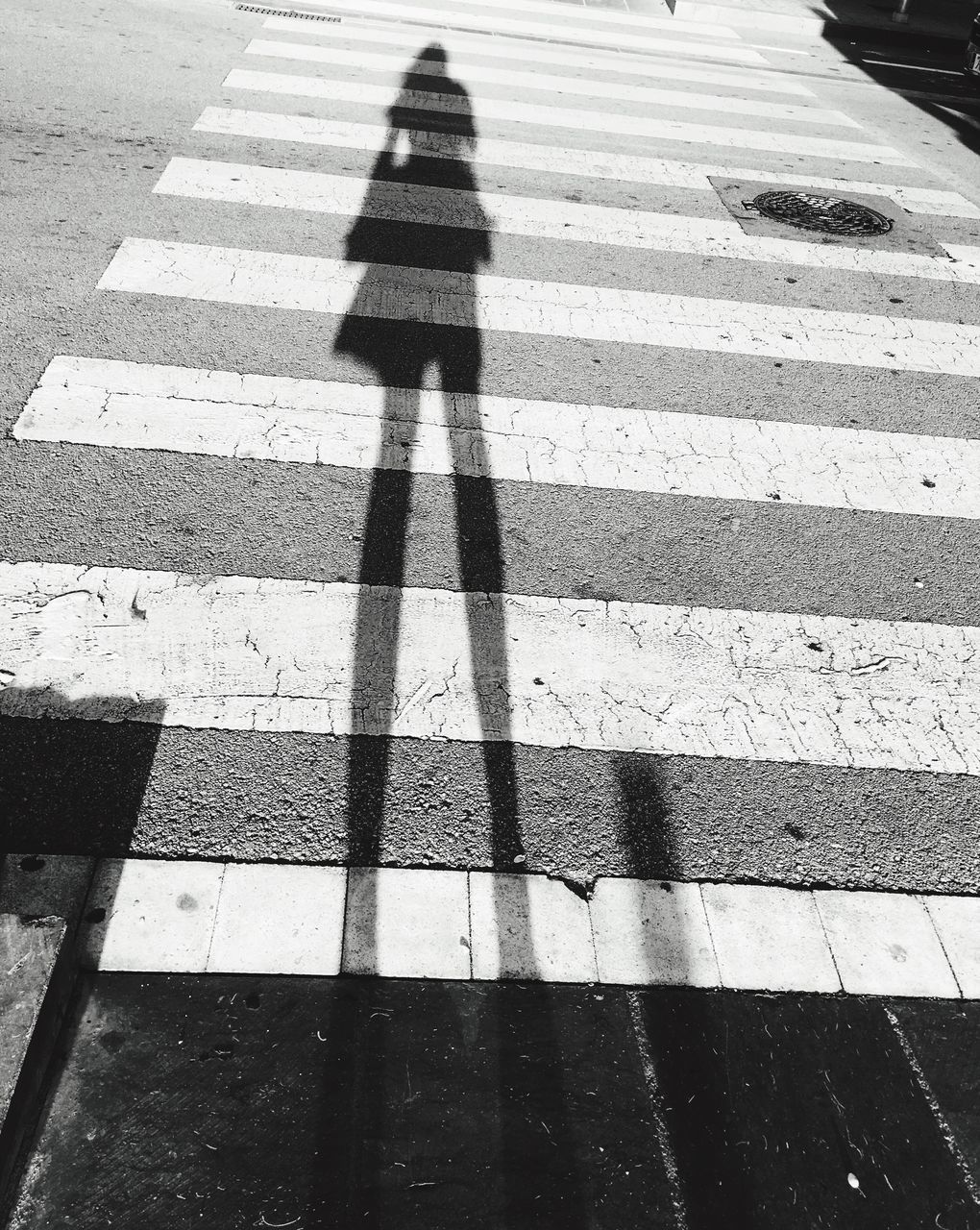 HIGH ANGLE VIEW OF ZEBRA CROSSING ON ROAD