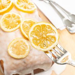 Delicious lemon cake topped with snowy lemon and candied lemon slices