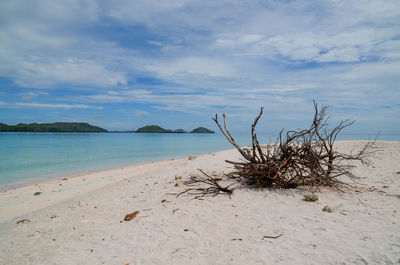 Scenic view of beach against sky