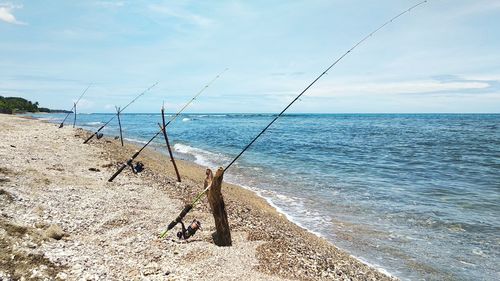 The traditional way of using dry branched wooden twigs for the fishing rod