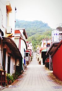 Narrow road leading towards houses