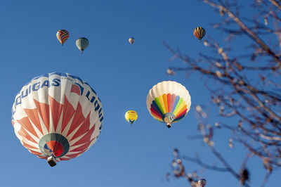 Low angle view of hot air balloons against sky