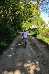 Rear view of person riding bicycle on road