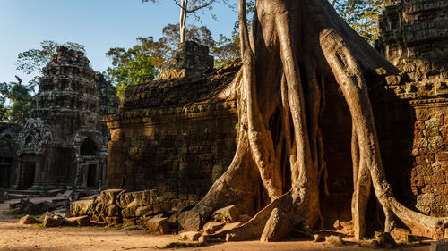 View of a temple