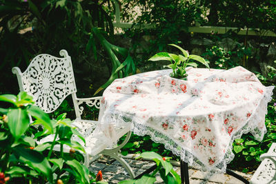 High angle view of potted plant on floral tablecloth in back yard