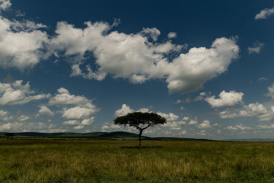 sky