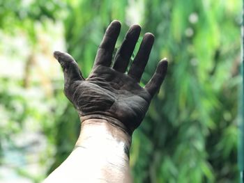 Close-up of hand against plants